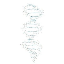 Modell DNA-Set