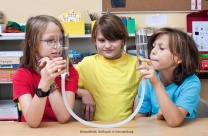 Verbindungsschlauch, 300mm lang Verbindungsschlauch, 300mm lang