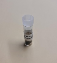 Biolumineszens mit Leuchtkrebschen, Trockenkrebschen im Gläschen, 250 mg, für ca. 15-20 Versuche Biolumineszens mit Leuchtkrebschen, Trockenkrebschen im Gläschen, 250 mg, für ca. 15-20 Versuche