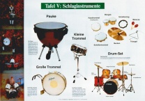 Lehrtafel zur Instrumentenkunde, Schlaginstrumente