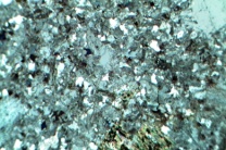 Red Rhyolit, Gesteinsdünnschliff Dauerpräparat Red Rhyolit, Gesteinsdünnschliff Dauerpräparat