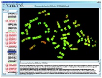 Vererbung und Genetik des Menschen Teil I, Interaktive CD-ROM