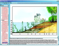 Biotope und Ökosysteme, Interaktive CD-ROM