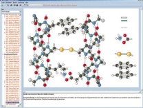 Die Struktur der Materie Teil I: Grundlagen, Interaktive CD-ROM