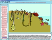 Das Leben im Wasser, Interaktive CD-ROM