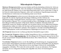 Mikropräparat - Methanobacterium. methanbildende Schlammbakterien