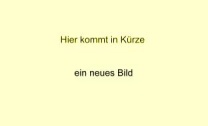 Transparentsatz Nahrungsbeziehungen des Igels