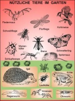 Transparentsatz Nützliche Tiere im Garten