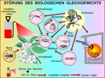 Transparentsatz Störung des biologischen Gleichgewichts