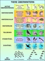 Transparentsatz Tiere überwintern