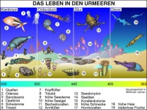 Transparentsatz Das Leben in den Urmeeren