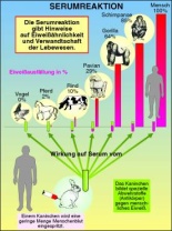 Transparentsatz Serumreaktionen