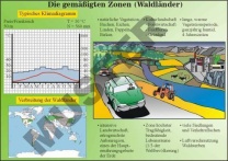 Transparentsatz Die Gemäßigten Zonen