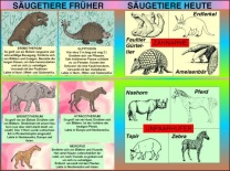 Transparentsatz Säugetiere früher und heute