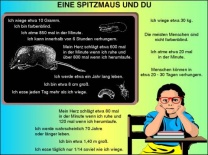 Transparentsatz Eine Spitzmaus und Du