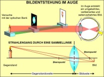 Digitale Folien auf CD, Die Bildentstehung ...