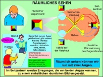 Transparentsatz Räumliches Sehen