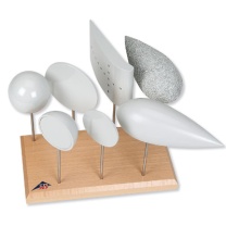 Widerstands- und Auftriebskörper, Satz, für Aerodynamikuntersuchungen