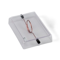 Leiterschleife auf Acrylglassockel Leiterschleife auf Acrylglassockel