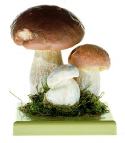 Pilzmodell Steinpilz / Herrenpilz