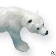 Tiere im Zoo