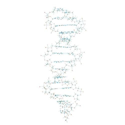 Modell DNA-Set