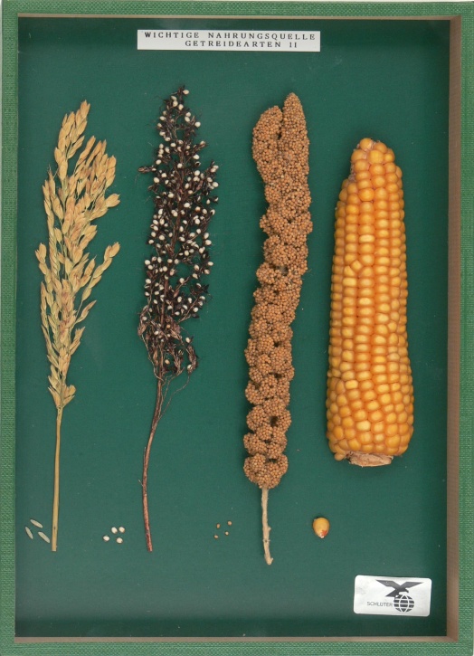 Objektkästen Getreide I und Getreide II zusammen