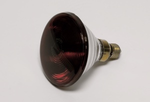 Glühlampe, infrarot, E27/230V/150W, Ersatzlampe zu 48120,