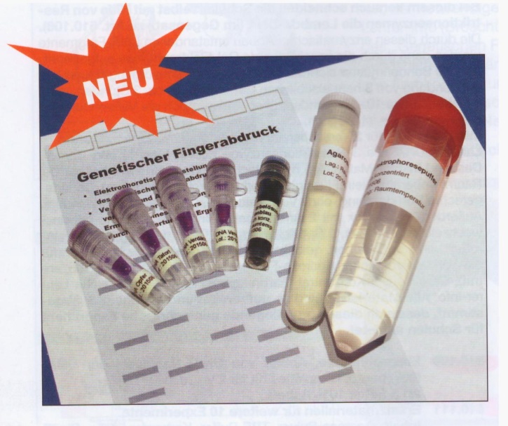 Experimentierkit Genetischer Fingerabdruck (DNA-Fingerprint)