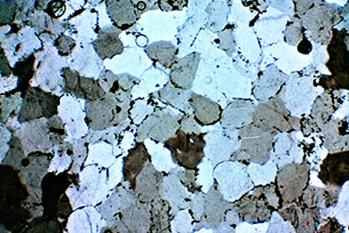 Sandstein, Gesteinsdünnschliff aus Serie V, Dauerpräparat
