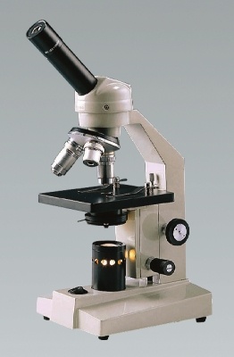 Mikroskop mit Tungsten-Beleuchtung für Schüler