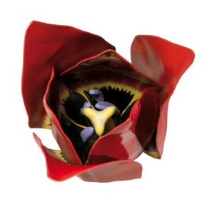 Modell Tulpe (Tulipa gesneriana)  3-fach vergrößert