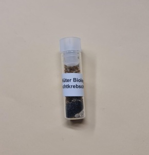 Biolumineszens mit Leuchtkrebschen, Trockenkrebschen im Gläschen, 250 mg, für ca. 15-20 Versuche