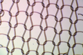 Mikropräparat - Nylon-Fasern
