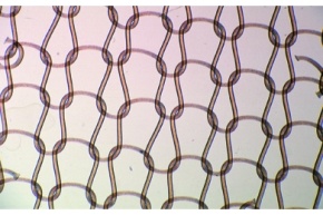 Mikropräparat - Nylon-Strumpfgewebe