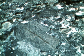 Migmatit, Gesteinsdünnschliff Dauerpräparat