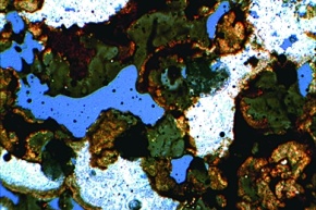 Kalkstein mit Asphalt, Gesteinsdünnschliff Dauerpräparat