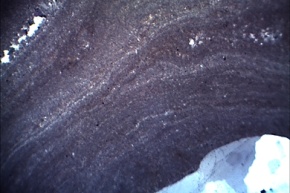 Stromatolith, Gesteinsdünnschliff Dauerpräparat
