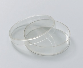 Petrischale, Glas, 15 x 80 mm