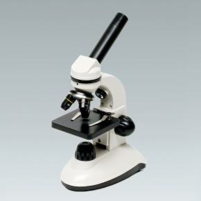 Preisgünstiges Einstiegs-Mikroskop