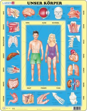Puzzle - Unser Körper,  Format 36,5x28,5 cm, Teile 35