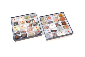 Sammlung von 30 Gesteinen und 10 gesteinsbildenden Mineralien
