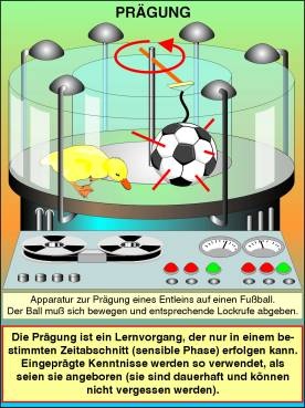 Transparentsatz Prägung