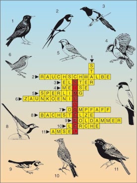 Transparentsatz Die Singvögel