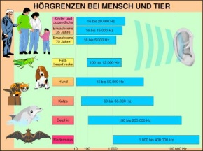 Digitale Folien auf CD, Hörgrenzen bei Mensch und Tier