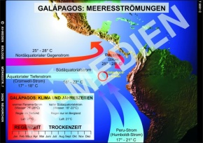 DVD-Video: Galápagos - Schaufenster der Evolution, 52 min
