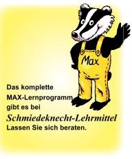 Max Lernkarten,  Deutsch als Zweitsprache 1